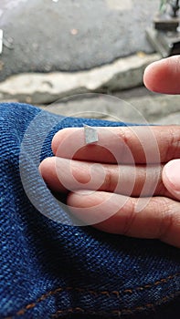 a finger and a splinter of iron petal