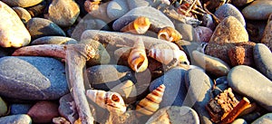 FingerLakes shoreline beach pebbles, shells & driftwood in panoramic banner photo