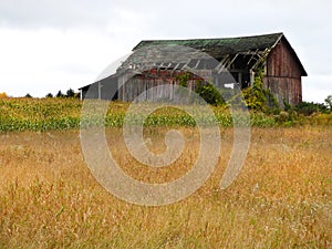 FingerLakes wood antique barn with autumn harvest