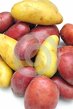 Fingerling Potatoes
