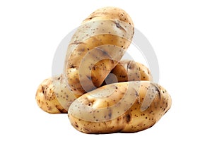 Fingerling potatoes isolated on a white background