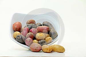 Fingerling Potatoes (Solanum tuberosum)
