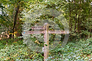 A fingerpost sign in Chantry Woods near Guildford, Surrey showing directions for the North Downs Way and public bridleway