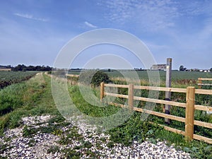 Fingerpost sign by fence photo