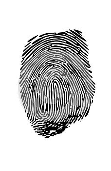 Fingerprint