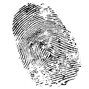 Fingerprint