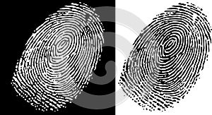 Fingerprint