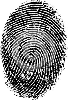 FingerPrint