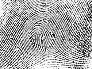 Fingerprint