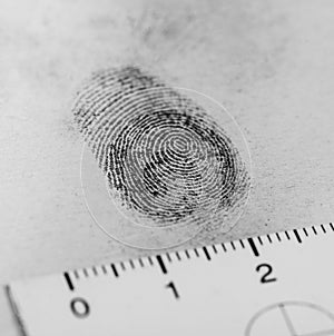 Fingerprint