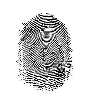 Fingerprint