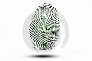 Fingerprint on the background of the binary code