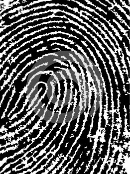 FingerPrint Crop 4