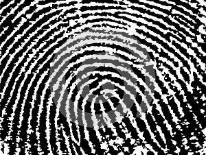 FingerPrint Crop 9