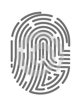 Fingerprint or fingertip print pattern vector isolated icon photo