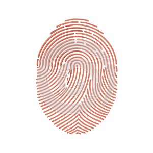 Fingerprint illustration human identification security biometric authentication technology