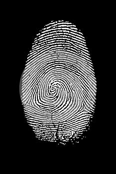 Fingerprint Isolated on Black