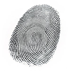 Fingerprint isolated on white background