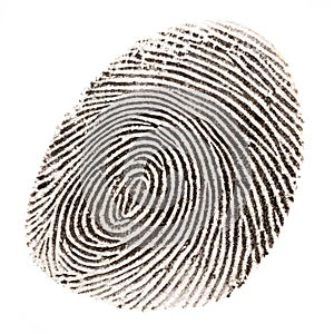 Fingerprint isolated on white background