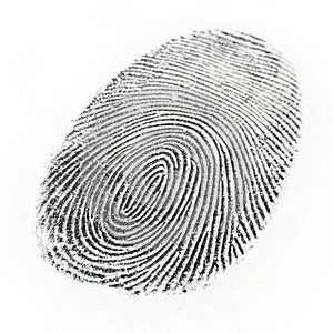 Fingerprint isolated on white background