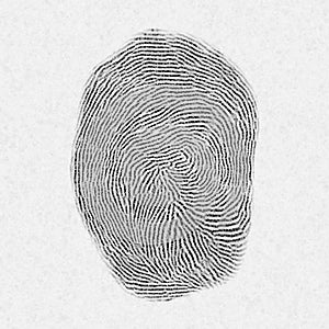 Fingerprint pattern isolated on white