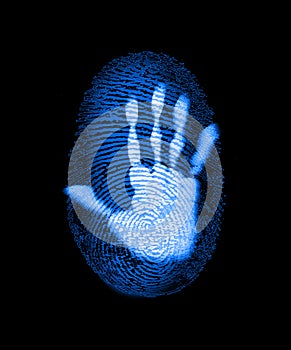 Fingerprint Security Identity Information Phishing