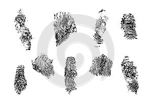 Fingerprint set vector illustration