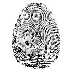 Fingerprint, silhouette vector. Dactylogram isolated on white background.