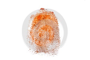 Fingerprint texture in orange paint on white isolated background