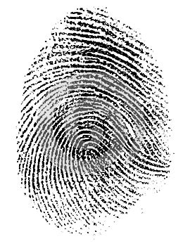 Fingerprint vector illustration