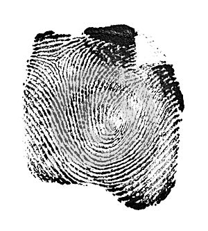 Fingerprint on white background