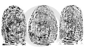 Fingerprints, biometric data. Set. Vector illustration