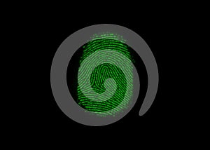 Fingerprints flash scan terminal green