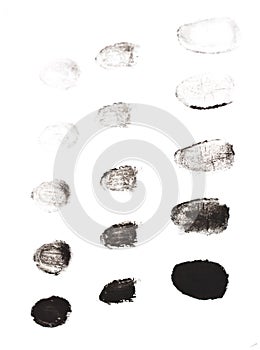 Fingerprints on a white background