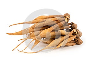 Fingerroot or Galingale rhizome isolated on white background