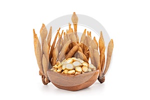 Fingerroot or galingale rhizome isolated on white background with clipping path