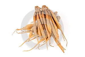 Fingerroot or Galingale rhizome isolated on white background.top view,flat lay