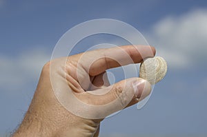 Fingers of a hand holding a shell on the sky background