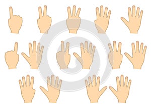 Fingers of hands. Counting, education. Set. Vector illustration