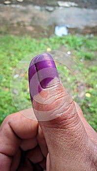 Fingers with ink indicate that they have voted