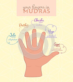 Fingers in Mudras Banner