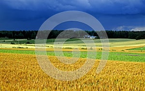 Finish farmland no.2