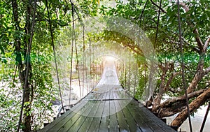 Finish or Goal Line Concept. Lights at The End of Perspective Hanging Wooden Bridge as a Walkway Along with Various Type of Trees