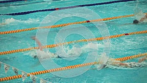 Finish sports swimming