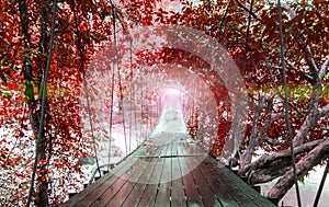 Finishes or Goals Line Concept. Lights at The End of Perspective Hanging Wooden Bridge with Various Type of Fantasy Red Trees photo