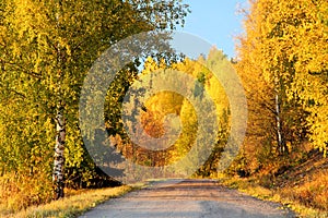 Finland: Autumn colors photo
