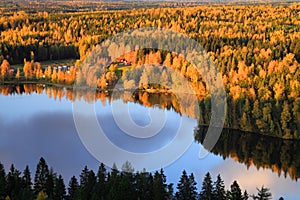 Finland: Autumn colors photo