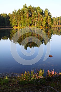 Finland: Calm lake in summer morning