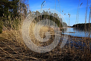 Finland: Coast of the Baltic Sea