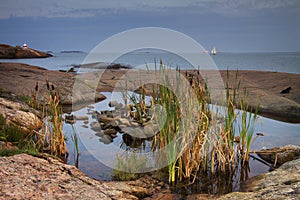 Finland: Coast of Helsinki